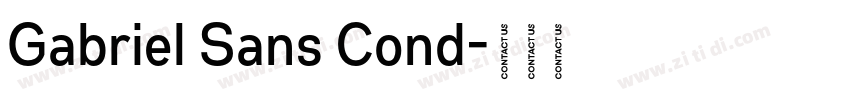 Gabriel Sans Cond字体转换